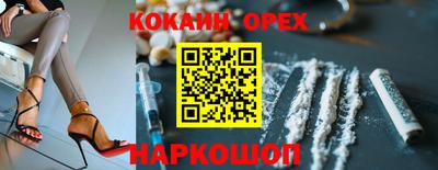 соль ск Можга