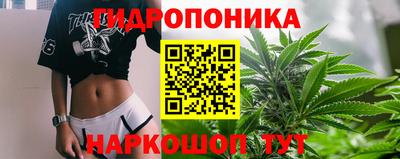 мет Моздок