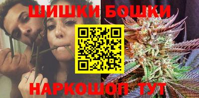соль ск Можга