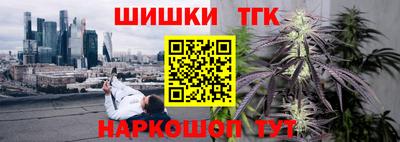 мет Моздок