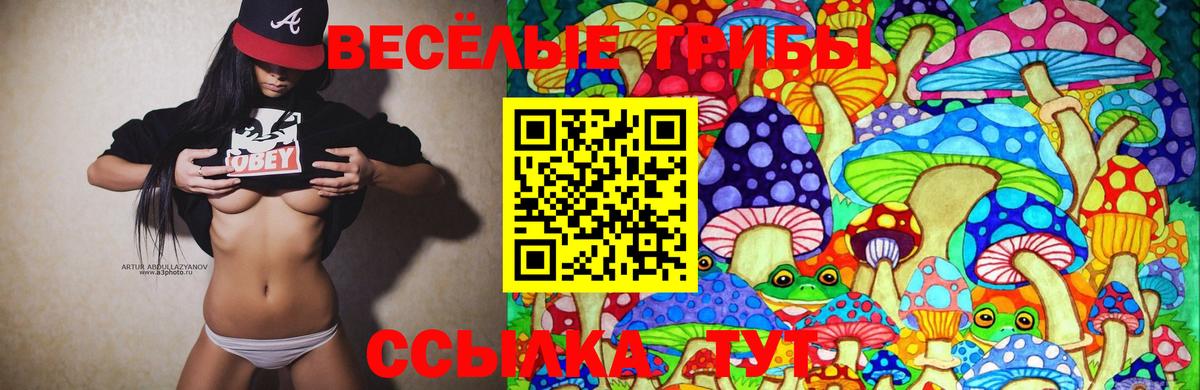купить наркотики сайты  Галлюциногенные грибы Magic Shrooms  Вход с VPN  Торжок 