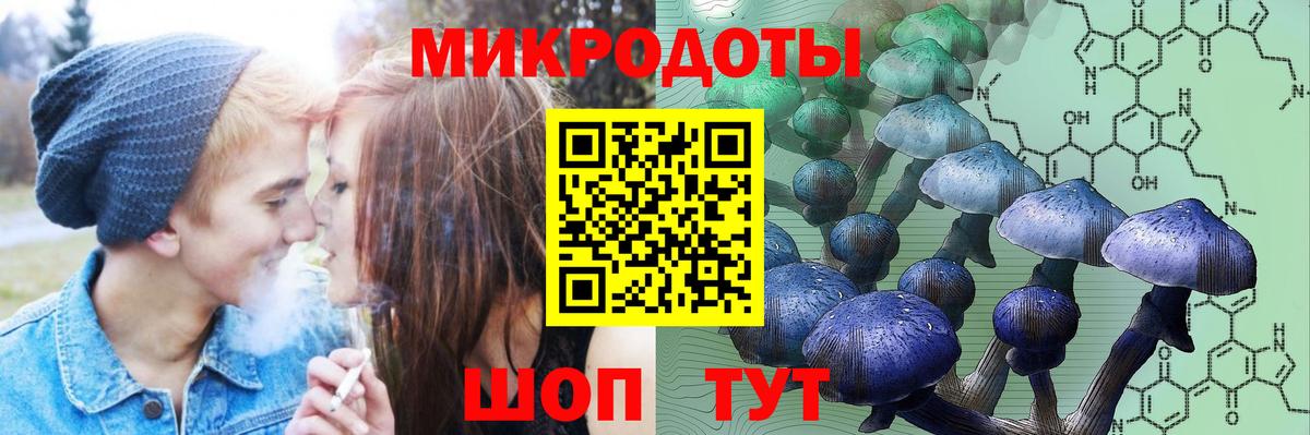 Галлюциногенные грибы мухоморы Торжок